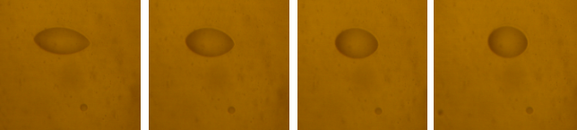 paste-kx55585s_145x644