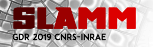 LOGO_SLAMM_INRAE-300x92_92x300