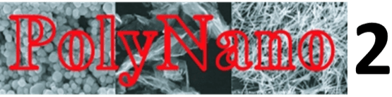 cropped-logo-polynano2_138x555