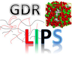 cropped-logo_gdr_lips_250px-2_198x240