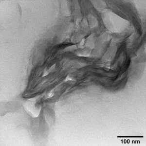 Nouvel An chinois: le dragon s'invite au CTµ