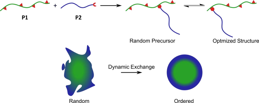 Postdoc (18 months) Dynamic Covalent Self-Assembly of Nanostructured ...